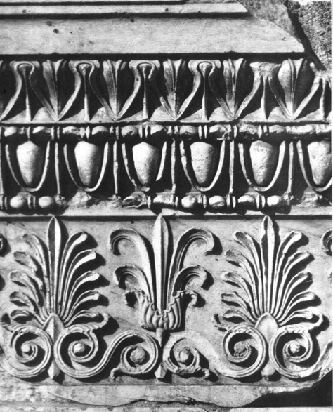 detail of wall crown (epikranitis)