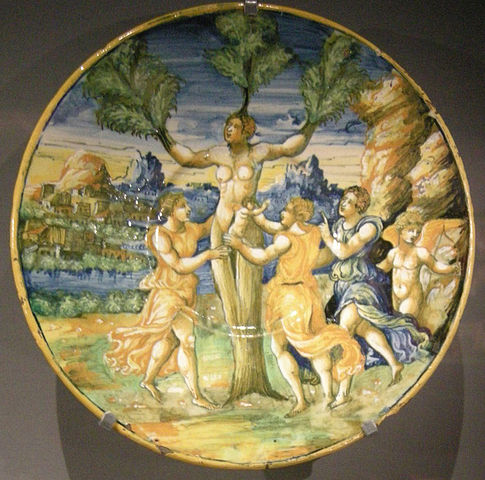 Ngv, maiolica di urbino, piatto con mirna partorisce adone, 1550
