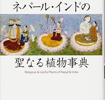 唐草図鑑の内容直し・追記