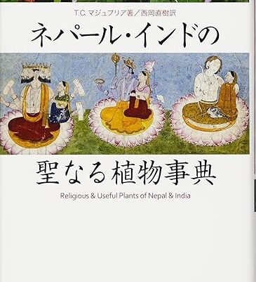 唐草図鑑の内容直し・追記